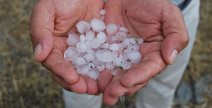 Dolu ekmek kapısı oldu: Paraya para demiyorlar