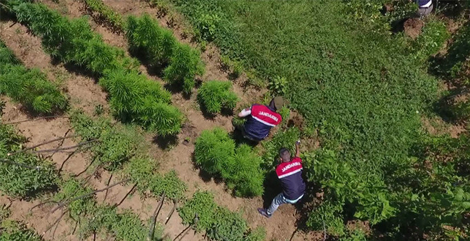 İstanbul'da Jandarmadan "drone"lu uyuşturucu operasyonu