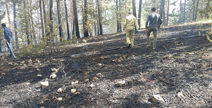 Kars'ta orman yangını | Son dakika haberleri