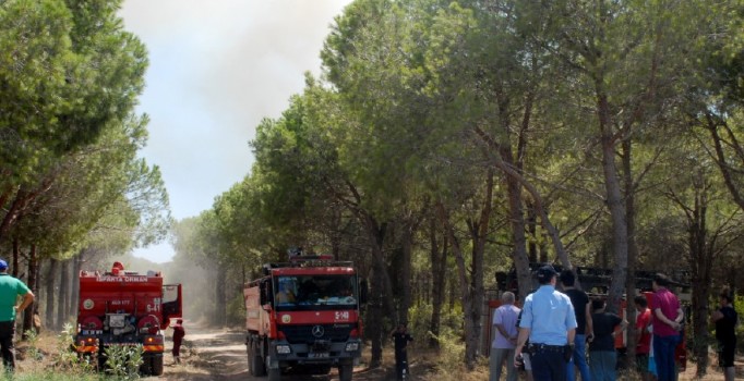 Antalya'da 4 farklı noktada orman yangını | Son dakika haberleri