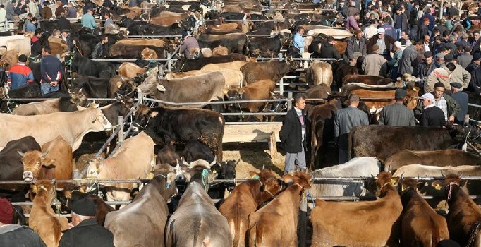 Hayvan pazarında bayram yoğunluğu