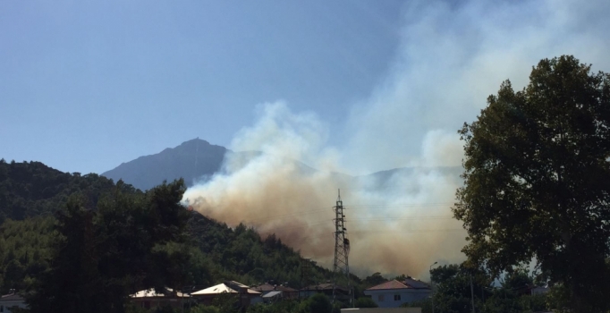 Antalya'da orman yangını