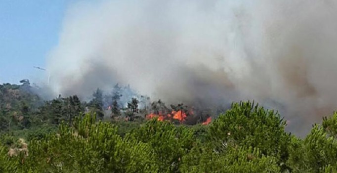 Manisa'da orman yangını: 2 hektarlık alan kül oldu