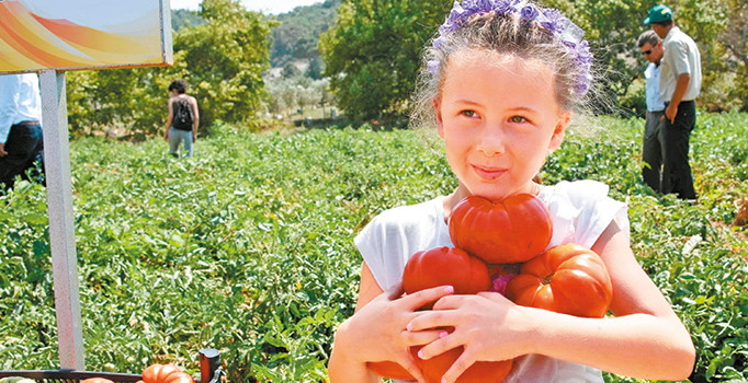 Domates tüm gıda ticaretine örnek olabilir