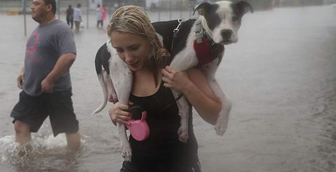 ABD meteoroloji uzmanları uyardı: İkinci Harvey Kasırgası geliyor