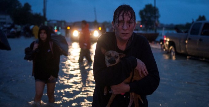 Harvey kasırgasının maliyeti gittikçe yükseliyor