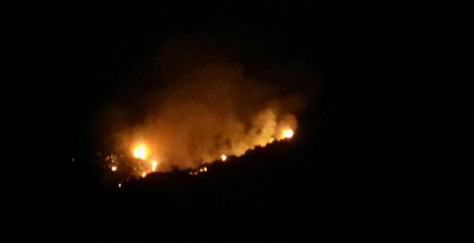 Ödemiş'te orman yangını