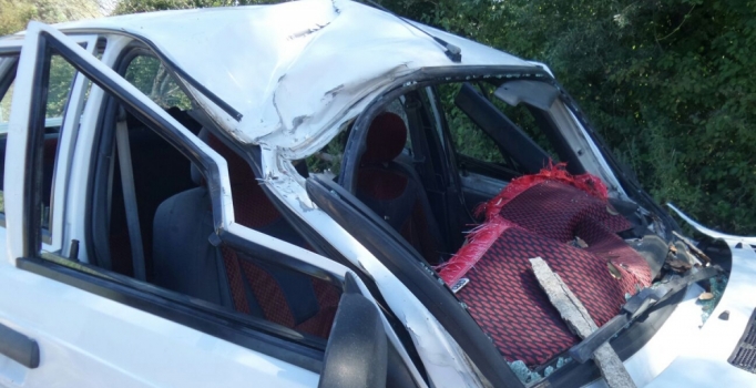 Seyir halindeki otomobilin üstüne ağaç düştü: 1 ölü, 2 yaralı
