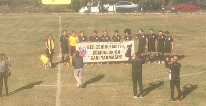 Nejat İşler'in başkanlığını yaptığı Gümüşlük Gençlikspor'dan köpekli protesto