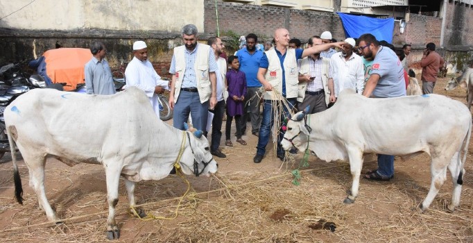 Hindistan'daki ihtiyaç sahiplerine kurban eti dağıtıldı