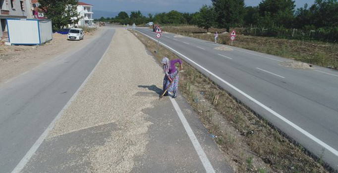 Çifte değil yolda kavrulmuş çekirdek