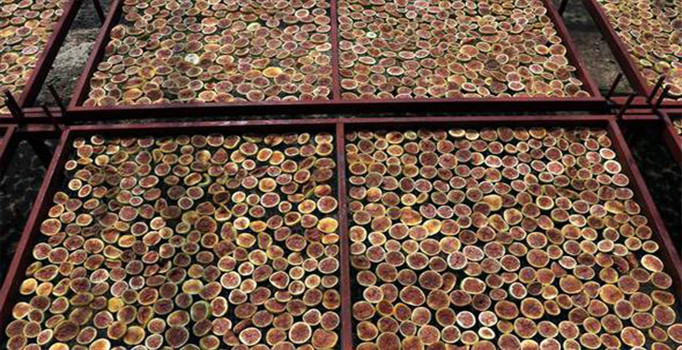 Anne-kız "incir cipsi" ile girişimci oldu