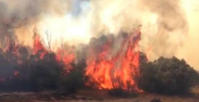 Sivas'ta orman yangını