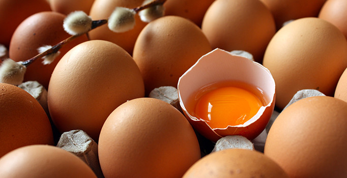 Türkiye'den Avrupa'ya 6 yıl sonra yumurta ihracatı başladı