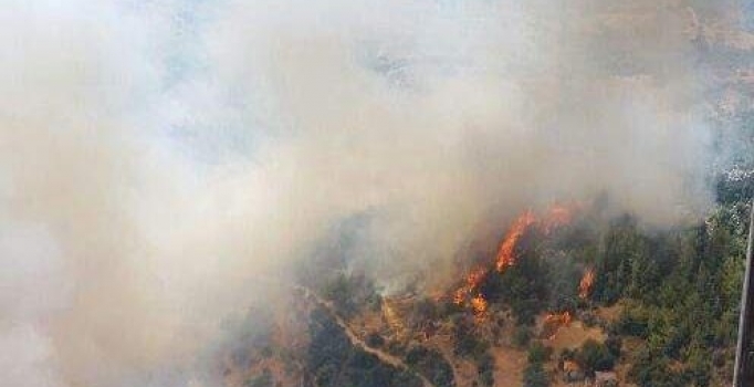 Muğla'da orman yangını...Evler boşaltılıyor