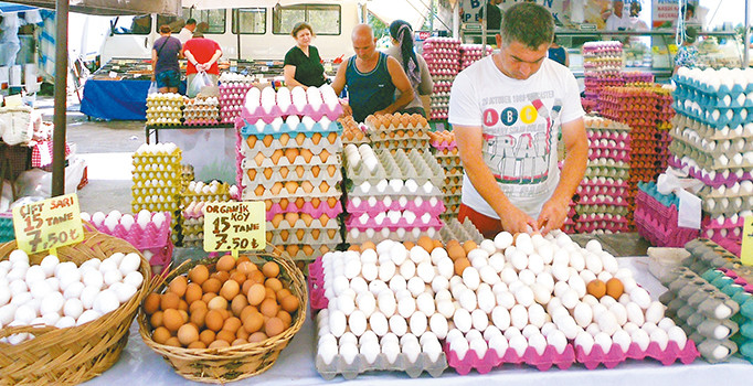 Zehirli yumurtada iddia çok belge yok