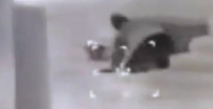 Silvan'da teröristlerin vurulma anı saniye saniye kaydedildi