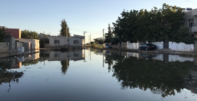 Taban suyu yükseldi, Suruç Venedik'e döndü