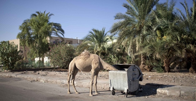 Şarm el-Şeyh, Rus uçağının düşmesinden sonra hayalet şehre döndü