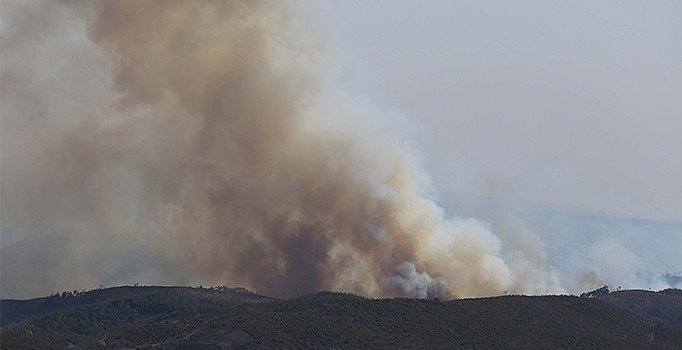 Hatay'da orman yangını: 3 hektarlık alan kül oldu