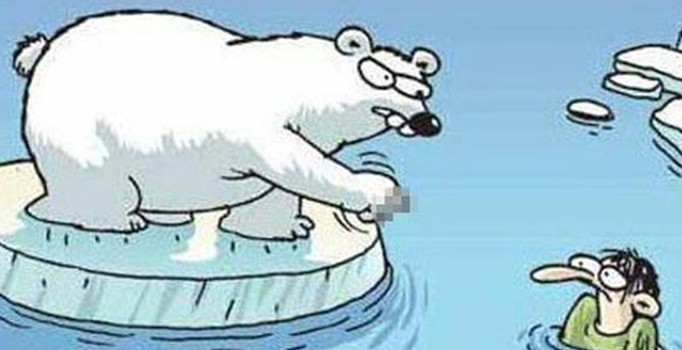 Ders kitaplarındaki kutup ayısı karikatürünü öğretmenler yırtacak