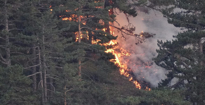 Kütahya'daki orman yangını 18 saat sonra kontrol altına alındı