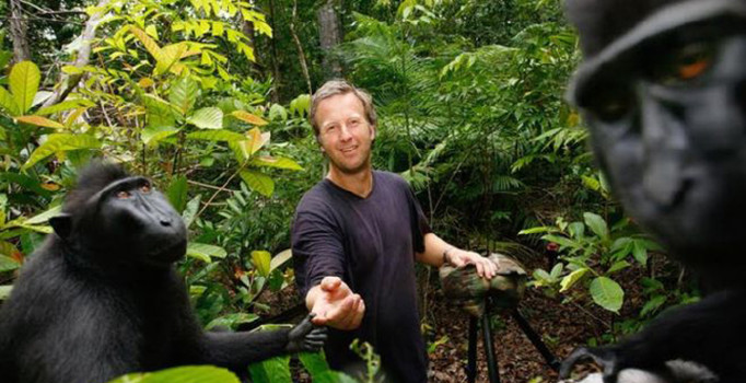 Maymun selfiesi davasında karar