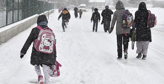 Bingöl'de okullar Salı günü tatil