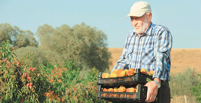 Artan fiyatın suçlusu çiftçi değil