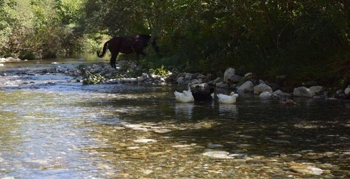 Kayaarası Kanyonuna ziyaretçi akını