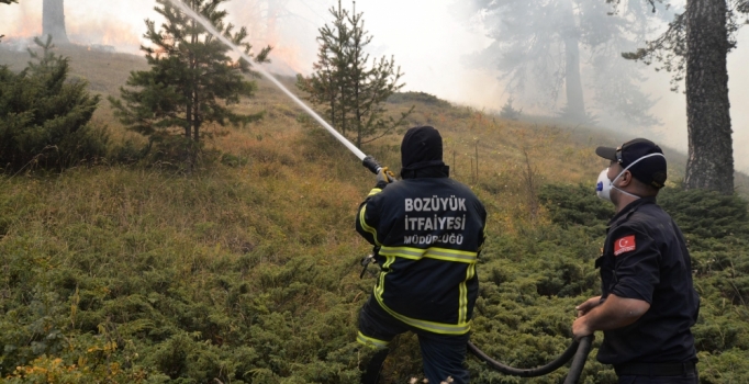 Balıkesir'de orman yangını
