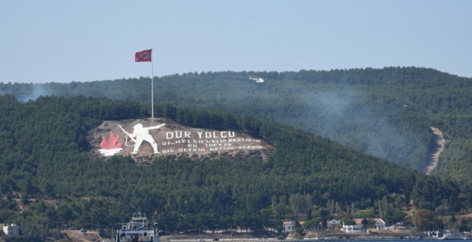 Son dakika: Çanakkale Şehitliği'nde orman yangını
