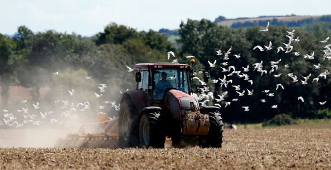 Türkiye'nin traktör devi Erkunt Traktör Hintli Mahindra'ya satıldı