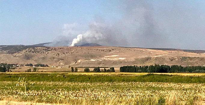 Eskişehir’de orman yangını