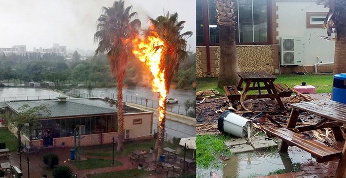 Hastane bahçesine yıldırım düştü, palmiye ağacı alev aldı