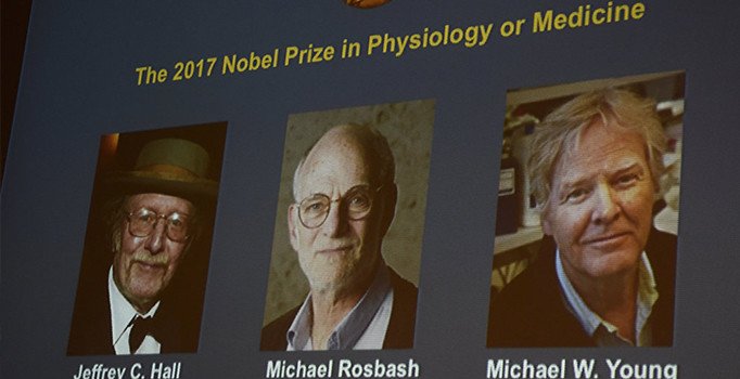 2017 Nobel Tıp Ödülü'nü kazananlar belli oldu