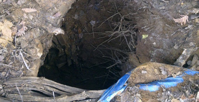 Bitlis'teki operasyonda PKK'ya ait 12 sığınak imha edildi