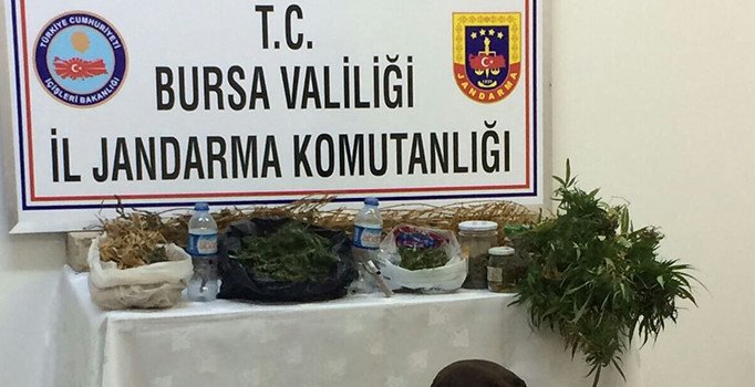 Bursa’da kubar esrar ve kenevir ele geçirildi