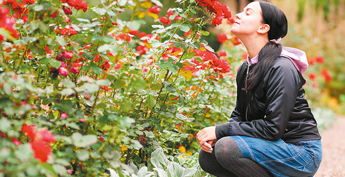 ‘Bu nanenin hiç kokusu yok’ diyorsan dikkat!
