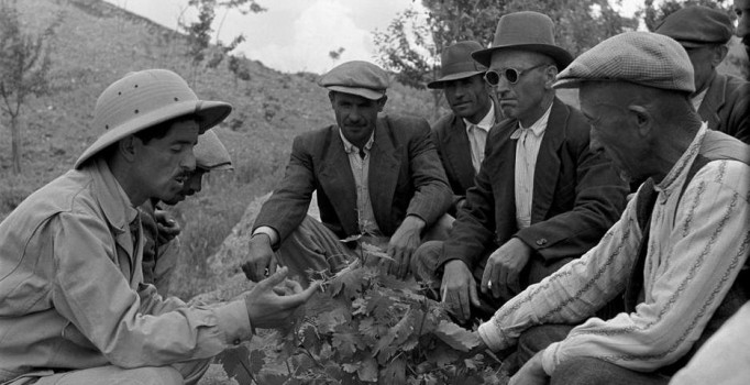 Zeytinyağlı türkünün gerçek yüzü