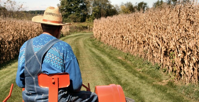 Faruk Çelik: 15 bin genç çiftçiye 30'ar bin lira hibe desteği verilecek