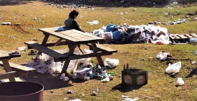 Bolu'daki çevre katliamına sosyal medyadan tepki yağdı