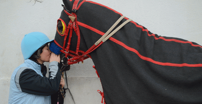 Zülfiye Bulut: Yarış atlarının kadın antrenörü