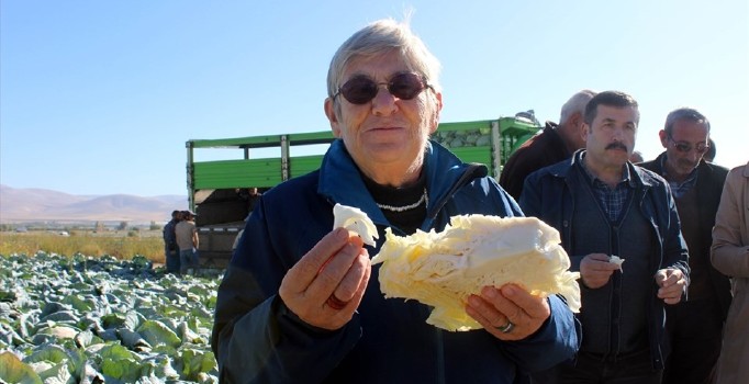 Canan Karatay'dan lahana turşusu tavsiyesi