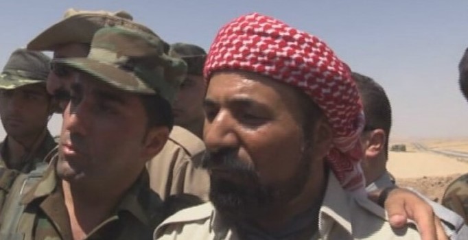 Ayı Peşmergelere saldırdı: 2 yaralı