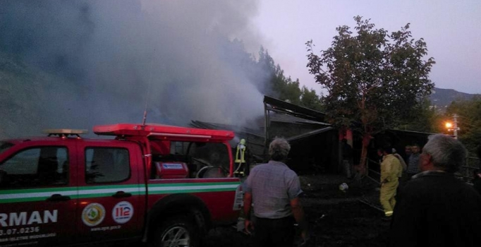 Yanan ahırdaki 5 inek telef oldu