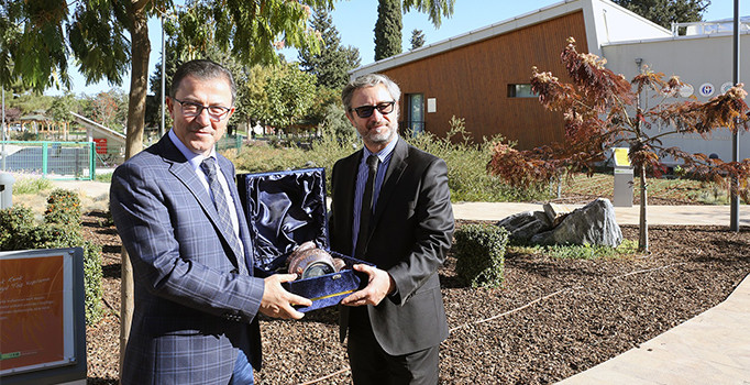 AB’den Türkiye’ye zeytin dalı