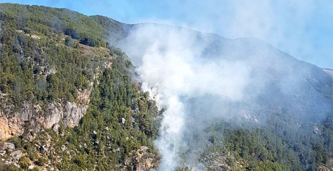 Alanya’daki orman yangını kontrol altına alındı