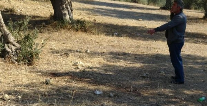 Edremit'te başı kesilmiş ceset bulundu