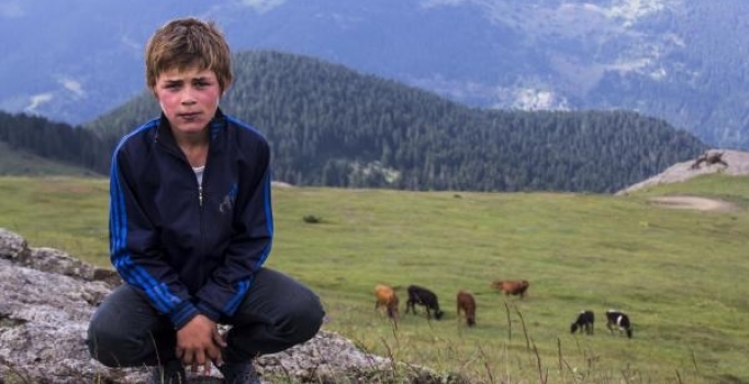 Son dakika! Giresun’da Eren Bülbül'ü şehit eden PKK'lı terörist yakalandı